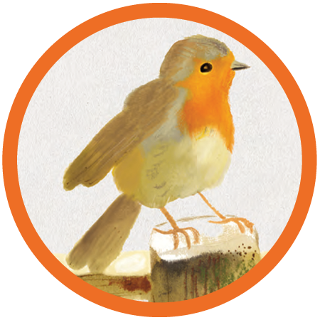 The 2026 Boulder Library Gala - logo